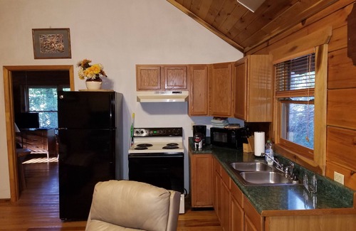 Waynesville Cabin | Moose Crossing Tall Woods Cabin, number 3