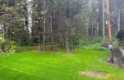 Ashton Cabin | Moose Meadows, a haven of wildlife, beside Yellowstone and Grand Teton Parks.