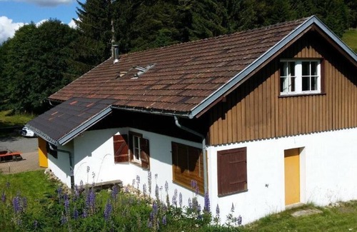 Todtmoos Apartment | Moosybärhütte, Gruppenunterkunft für bis zu 31 Personen