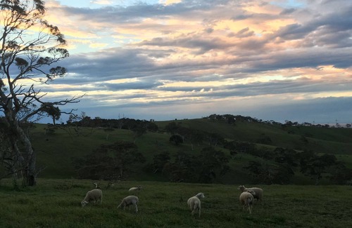 Cape Jervis House | Morella Farm Stay -unique farm style experience