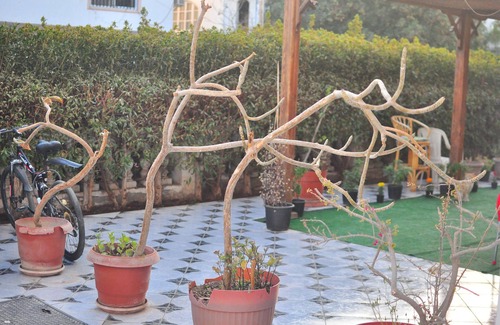 Sharm El Sheikh Apartment | Morning Star Guesthouse
