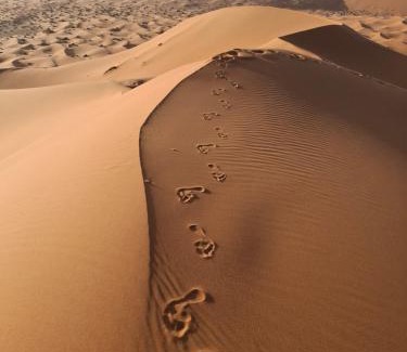 Rissani Other | Morocco Deluxe Camp - Assif n'Itrane