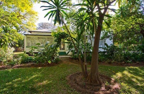 Livingstone Apartment | Mose Street Apartments