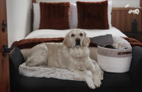 Baie-St-Paul Hotel | Motel Boutique Hygge