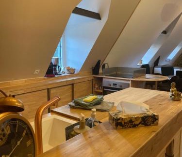 Plouneventer Apartment | Moulin de brezal et étang à 20 minute de la mer