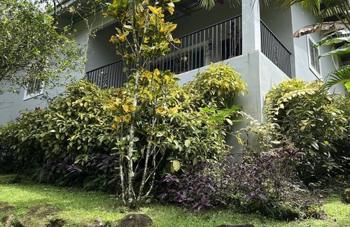 El Valle de Anton House | Mountain cabin- Altos de El valle