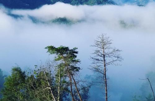 Gatlinburg House | Mountain Haven - Relax & enjoy AMAZING 180 Degree Views of Mt LeConte