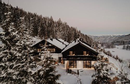 Muehlbach Am Hochkoenig Apartment | Mountain Hideway Birgkar