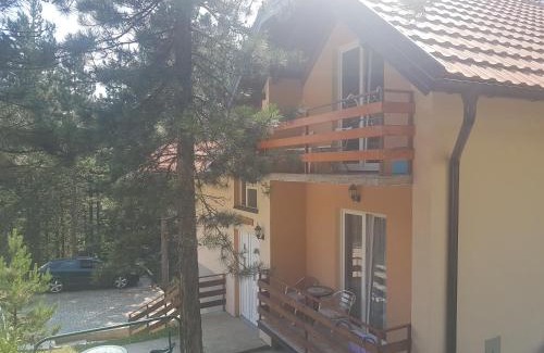 Kremna Apartment | Mountain House Tara Apartmani Nikolic