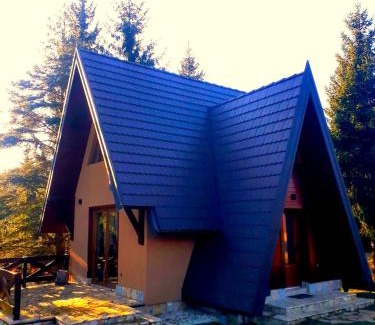 Beserovina House | Mountain House Tadić 3