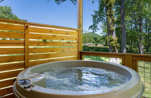 Candler Cabin | Mountain modern cabin with farm tour experience