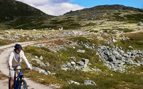 Nore og Uvdal Apartment | Mountain retreat in Uvdal WIFI SAUNA