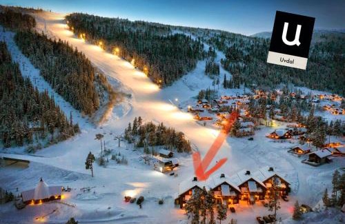 Nore og Uvdal Apartment | Mountain retreat in Uvdal WIFI SAUNA