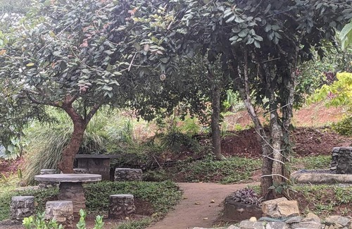 Mannarkkad Cottage | Mountain View Spirit of The Wild at IMark Valley