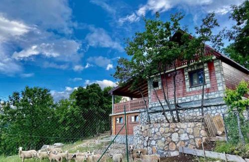 Cetinje House | Mountain Village House