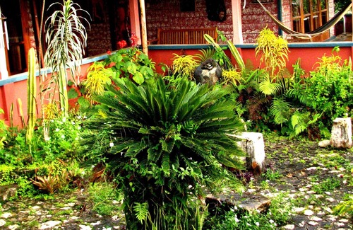 Caledonia Villa | Mountambrin TheaterGallery ~ A Villa & Artist Retreat
