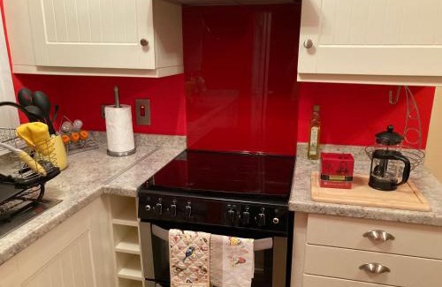 Belfast Apartment | Mountroyal Victorian Self Catering Apartment 2