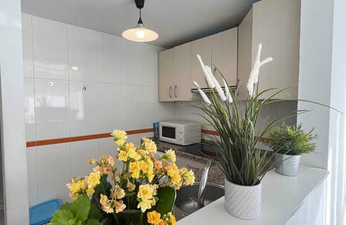 Playas del Palo Apartment | Mshome First Line in Malaga
