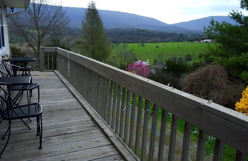 New Market House | Mt. Views. Pool table, ping pong, near caverns & skyline drive. PET FRIENDLY.