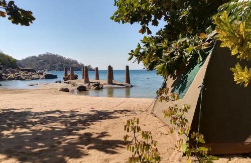 Monkey Bay Cabin | Mufasa Eco Lodge