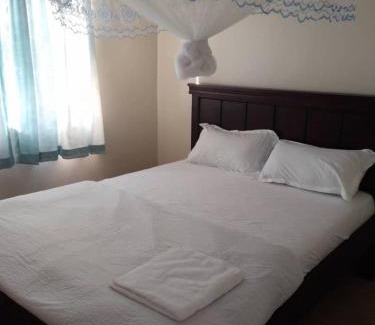 Pallisa Hotel | Mulen hotels