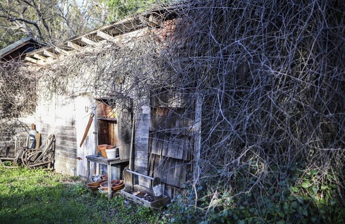 Murphys Cottage | Murphys Wine Cottages: Fishing Cabin Sleeps 3, Economy Priced