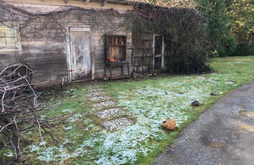 Murphys Cottage | Murphys Wine Cottages: Fishing Cabin Sleeps 3, Economy Priced