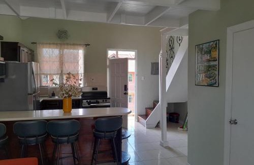 New Kingston Apartment | Musgrave AnneX- comfy 1 bedroom apartments