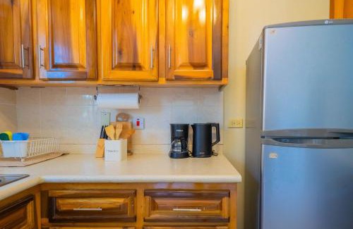 New Kingston Apartment | Musgrave AnneX- comfy 1 bedroom apartments