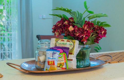 New Kingston Apartment | Musgrave AnneX- comfy 1 bedroom apartments