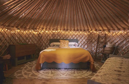 Glandyfi Other | Mushroom Yurt