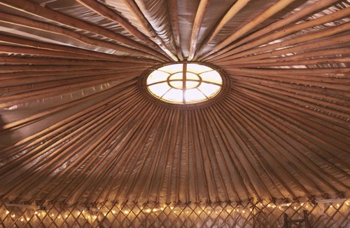 Glandyfi Other | Mushroom Yurt