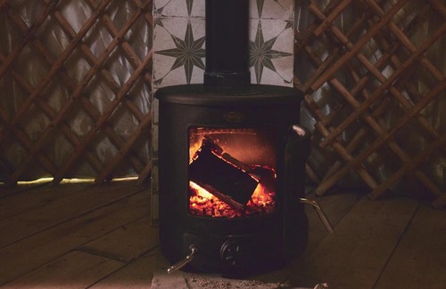 Glandyfi Other | Mushroom Yurt