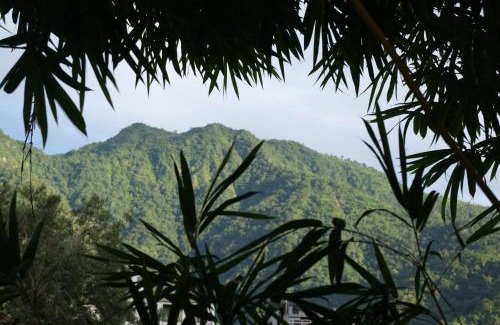 Tapovan Hotel | MVT Guesthouse & Restaurant (Rishikesh)
