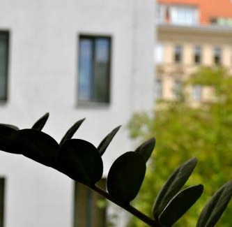Landstrasse Apartment | My Home in Vienna - Smart Apartments - Landstraße