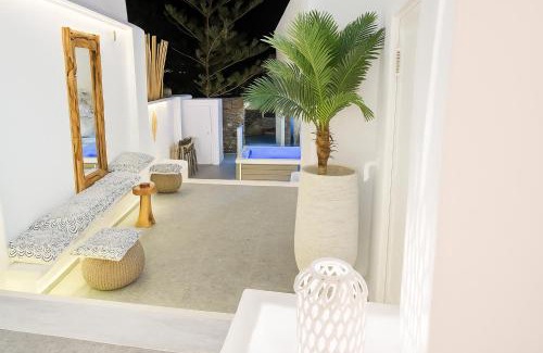 Ano Mera Apartment | Mykonos Double Luxury Mini Suites-With External Hot spa Adults only