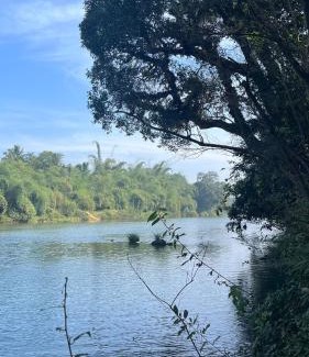 Siddapura House | Mynas Nest Riverside Homestay