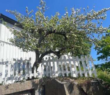Uddevalla Apartment | Mysig lägenhet, nära det mesta!