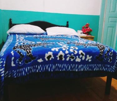 Ambato House | Nápoles Emperador II