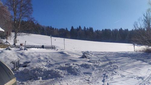 Nicov Ski Chalet | Na Losenici