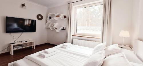 Sasino House | Na Skarpie