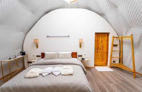 Leh Other | Namseylin Eco Geodome Pangong