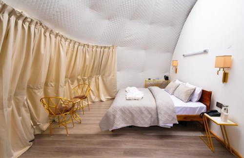 Leh Other | Namseylin Eco Geodome Pangong
