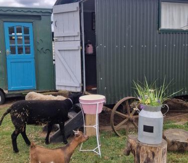 Chalfont St Giles House | Nathans Shepherd's Hut