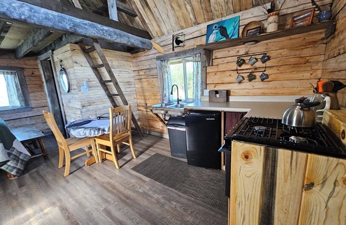 Slana Cabin | National Park Stay: Comfortable cabin in Alaska's wilds, lakes, hikes. Pets OK!