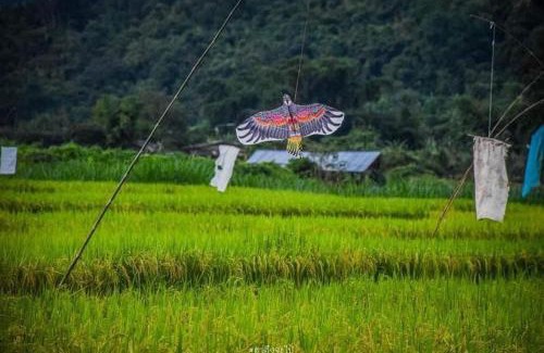 Ban Ton Lung House | Natu Hut Farm Stay & Cafe' Chiang Mai