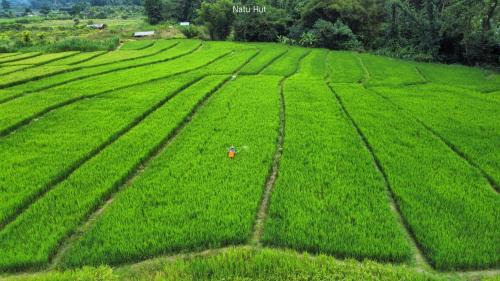 Ban Ton Lung House | Natu Hut Farm Stay & Cafe' Chiang Mai