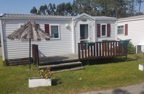 Burinhosa House | Natur Camping Bungalow T3 - 9