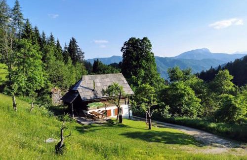 Slovenia House | Natur pur Pikovo
