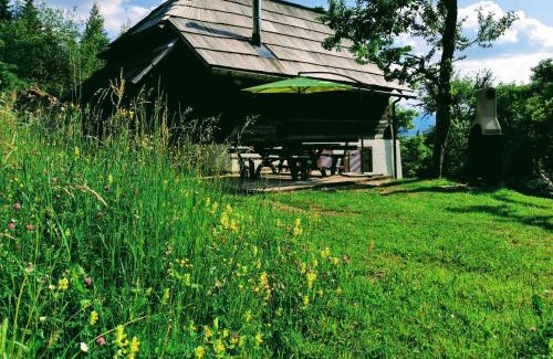 Slovenia House | Natur pur Pikovo